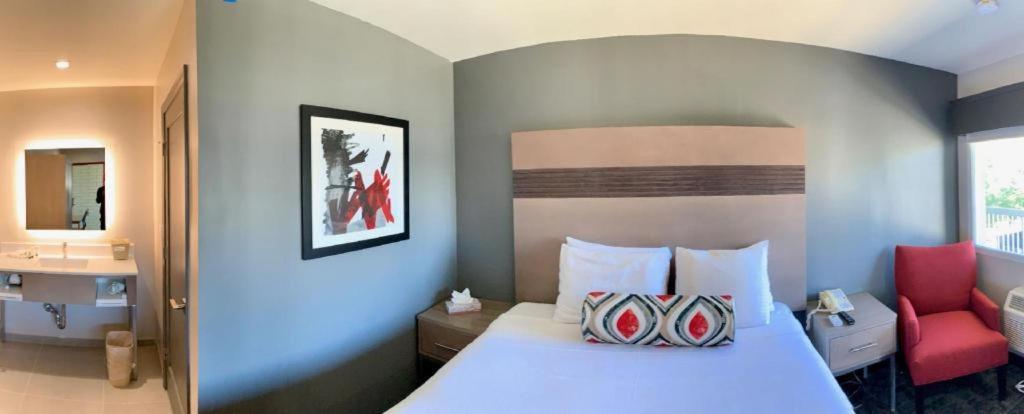 Pacific Motor Inn San José Exteriér fotografie